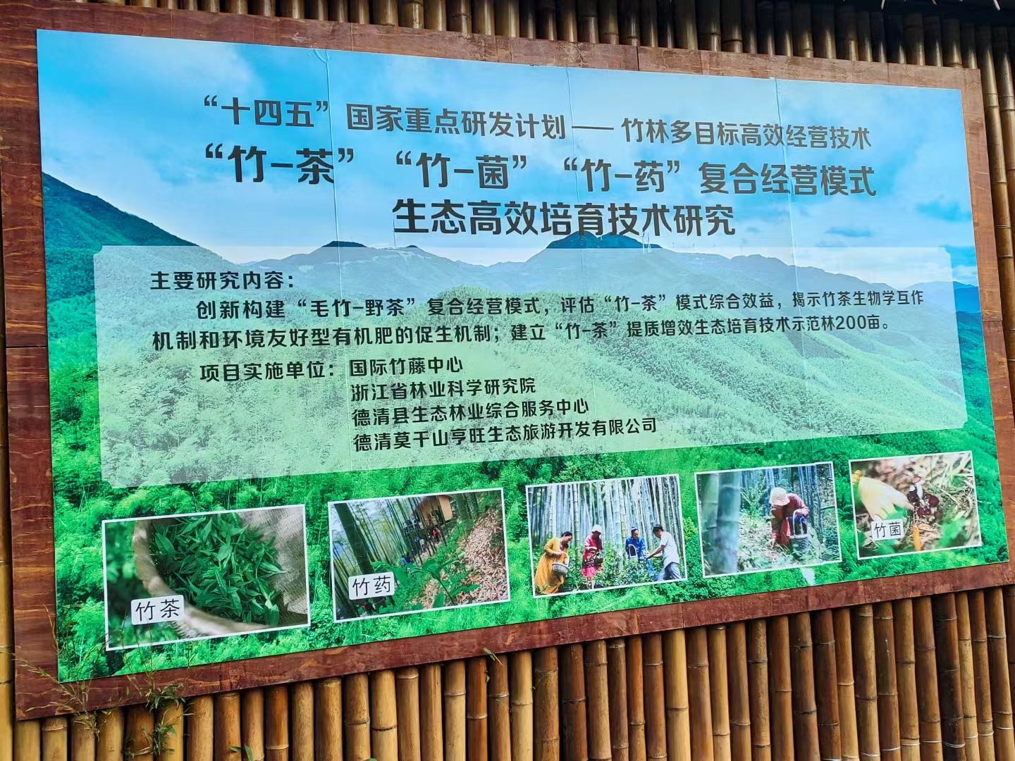 微信图片_20251027174020_1_80.jpg 微信图片_20251027174020_1_80.jpg